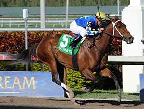 Hilda's Passion Top Choice in Humana Distaff Hilda's Passion Top Choice in Humana Distaff