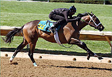 Colts by Dixie Union, Pioneering Turn In Fast Works for Keeneland Juvenile Auction Colts by Dixie Union, Pioneering Turn In Fast Works for Keeneland Juvenile Auction