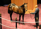 No Surprises: F-T July Sale Opens With Losses