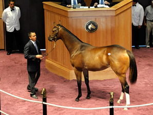 Medaglia d'Oro Filly Fetches $425,000 at FTK Medaglia d'Oro Filly Fetches $425,000 at FTK