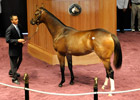 F-T July Drops, But 'Medaglia' Fillies Shine F-T July Drops, But 'Medaglia' Fillies Shine