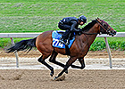 War Front Colt Tops Strong Midlantic Opener War Front Colt Tops Strong Midlantic Opener