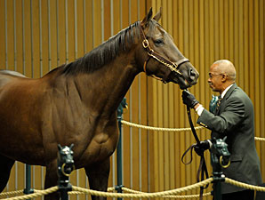 Miss Catalyst Brings $325,000; to Race Again Miss Catalyst Brings $325,000; to Race Again