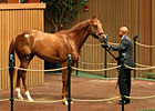 Maria's Mon Colt Brings $525,000 at Keeneland