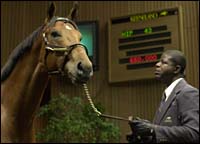 Pleasant Colony Colt Tops at Keeneland 2-Year-Old Sale Pleasant Colony Colt Tops at Keeneland 2-Year-Old Sale