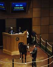 Topped by Malibu Moon Colt, Fasig-Tipton Concludes With Decline in Average Topped by Malibu Moon Colt, Fasig-Tipton Concludes With Decline in Average