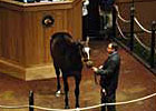 Topped by Malibu Moon Colt, Fasig-Tipton Concludes With Decline in Average Topped by Malibu Moon Colt, Fasig-Tipton Concludes With Decline in Average