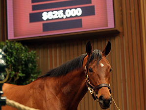 Wilburn Sells for $625,000 at Keeneland Sale Wilburn Sells for $625,000 at Keeneland Sale