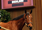 Sale-Topping Wilburn Tries BC Dirt Mile Sale-Topping Wilburn Tries BC Dirt Mile