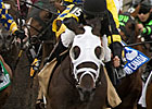 Hippolytus Favored in Prince of Wales Stakes Hippolytus Favored in Prince of Wales Stakes