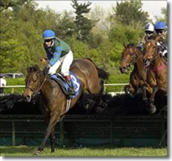 Nine to Contest New York Turf Writers Cup Nine to Contest New York Turf Writers Cup
