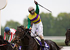 Hiruno d'Amour Prevails in Tenno Sho Spring Hiruno d'Amour Prevails in Tenno Sho Spring