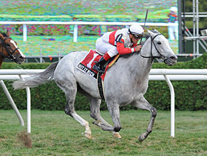 Hit It Rich Has Golden Win in Glens Falls Hit It Rich Has Golden Win in Glens Falls