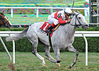 Hit It Rich Has Golden Win in Glens Falls Hit It Rich Has Golden Win in Glens Falls