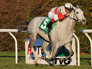 Long Island is Swan Song for Hit It Rich Long Island is Swan Song for Hit It Rich