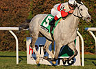 Long Island is Swan Song for Hit It Rich Long Island is Swan Song for Hit It Rich