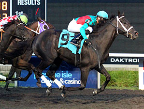 Hogy Stays Hot With Presque Isle Mile Victory Hogy Stays Hot With Presque Isle Mile Victory