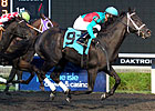 Hogy Stays Hot With Presque Isle Mile Victory Hogy Stays Hot With Presque Isle Mile Victory