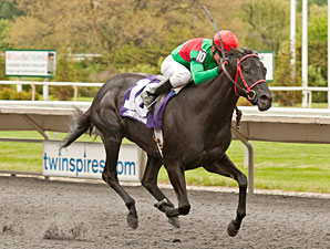 Hogy Holds His Own in Sharp Hanshin Cup Tally Hogy Holds His Own in Sharp Hanshin Cup Tally