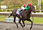 Hogy Holds His Own in Sharp Hanshin Cup Tally Hogy Holds His Own in Sharp Hanshin Cup Tally