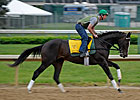 Haskin's Derby Report: 48 Hours and Counting Haskin's Derby Report: 48 Hours and Counting