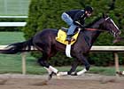 Hold Me Back Shines in KY Derby Workout Hold Me Back Shines in KY Derby Workout