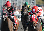Holiday for Kitten Hangs On  for TCA Upset