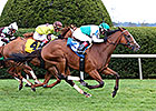 Shipper Holiday Star Faces 10 in Turf Cup Shipper Holiday Star Faces 10 in Turf Cup