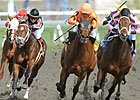 Hollywood Hit Sets Woodbine Mark in Vigil Win Hollywood Hit Sets Woodbine Mark in Vigil Win