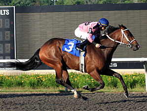 Hollywood Hit Ready for Kennedy Road Hollywood Hit Ready for Kennedy Road