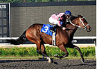 Hollywood Hit Ready for Kennedy Road