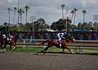 Hollywood Park Opens 70th Year April 22