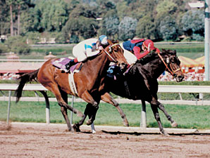 Delahoussaye Recalls Memorable Distaffs Delahoussaye Recalls Memorable Distaffs