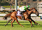 Hofmans Hopes to Add to Turf Sprint Success Hofmans Hopes to Add to Turf Sprint Success