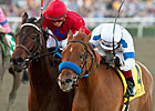 Home Sweet Aspen Stands Tall in Las Flores