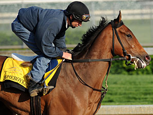 Homeboykris in Final Kentucky Derby Breeze Homeboykris in Final Kentucky Derby Breeze