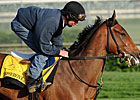 Homeboykris in Final Kentucky Derby Breeze Homeboykris in Final Kentucky Derby Breeze