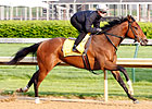 Homeboykris Has First Churchill Work