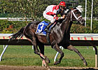 Honest Pace Helps Honest Man Win Iselin Honest Pace Helps Honest Man Win Iselin