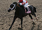 Honest Man to Stand at Red River Honest Man to Stand at Red River
