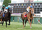 Resolute Honey Hues Takes Mint Julep Resolute Honey Hues Takes Mint Julep