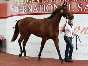 Average Rises 27.5% at Hong Kong Sale Average Rises 27.5% at Hong Kong Sale