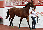 Average Rises 27.5% at Hong Kong Sale Average Rises 27.5% at Hong Kong Sale