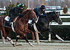 Earliest Derby Future Wager Starts Nov. 27 Earliest Derby Future Wager Starts Nov. 27