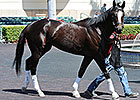 McGaughey Encouraged by Honor Code's Effort McGaughey Encouraged by Honor Code's Effort