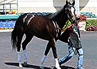 Honor Code Gets Tightener for Seasonal Debut Honor Code Gets Tightener for Seasonal Debut