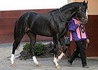 Honor Code, Top Billing Near 4YO Debuts Honor Code, Top Billing Near 4YO Debuts