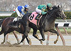 Honor Code Inhales Allowance Foes in Return Honor Code Inhales Allowance Foes in Return
