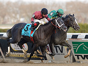 Honor Code Jogs at Gulfstream Honor Code Jogs at Gulfstream