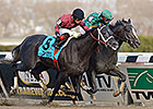 Honor Code Jogs at Gulfstream Honor Code Jogs at Gulfstream